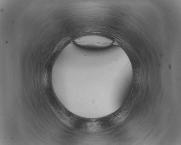 X0000068830216200605261624