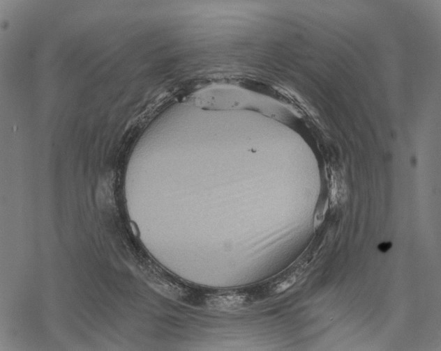 X0000068830217200605261624