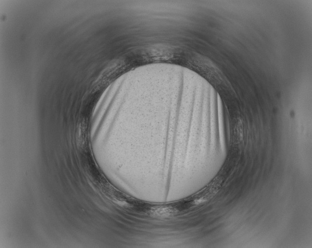 X0000068830218200605261624