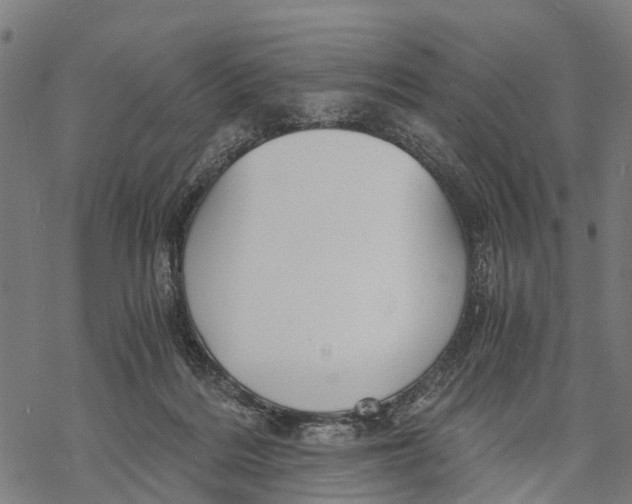 X0000068830220200605261624