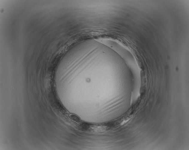 X0000068830221200605261623