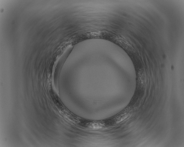 X0000068830223200605261623