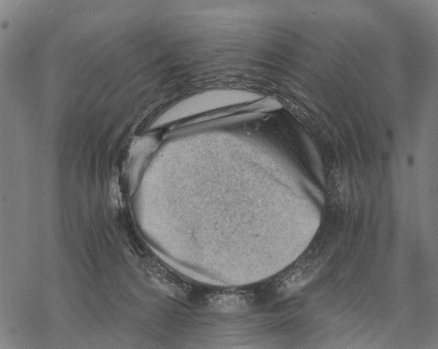 X0000068830224200605261623