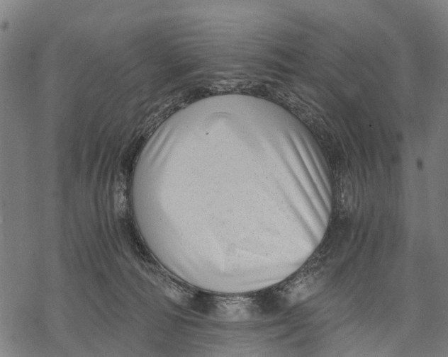 X0000068830226200605261623