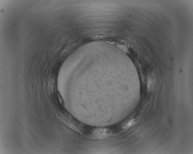 X0000068830227200605261623