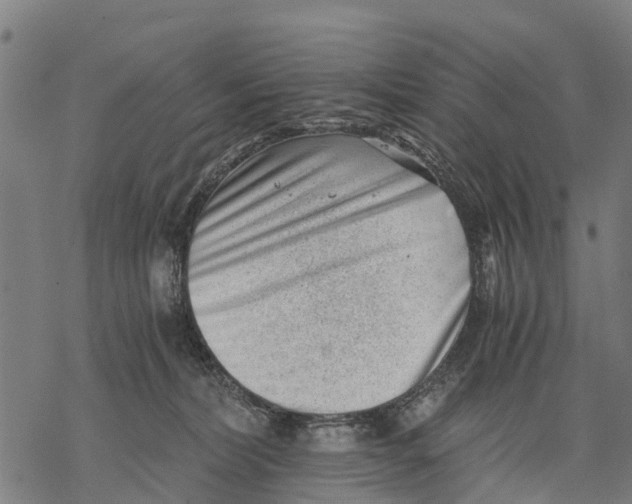 X0000068830228200605261623