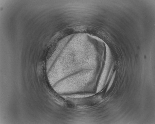 X0000068830229200605261623