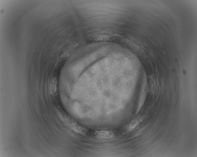 X0000068830230200605261623