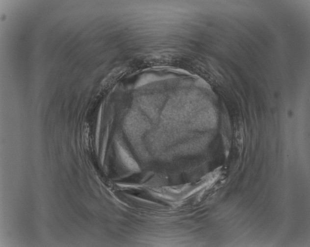 X0000068830231200605261623