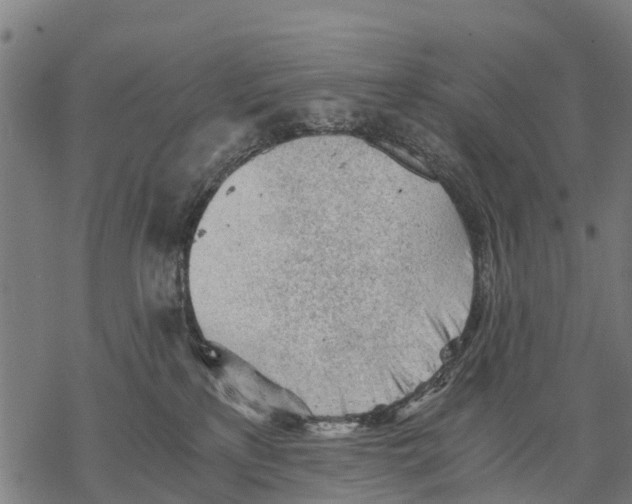 X0000068830233200605261623