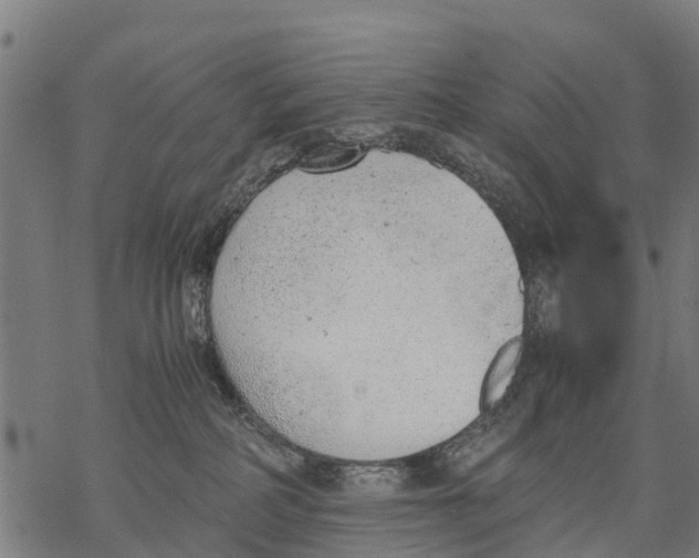 X0000068830234200605261623