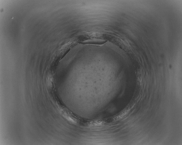 X0000068830235200605261623