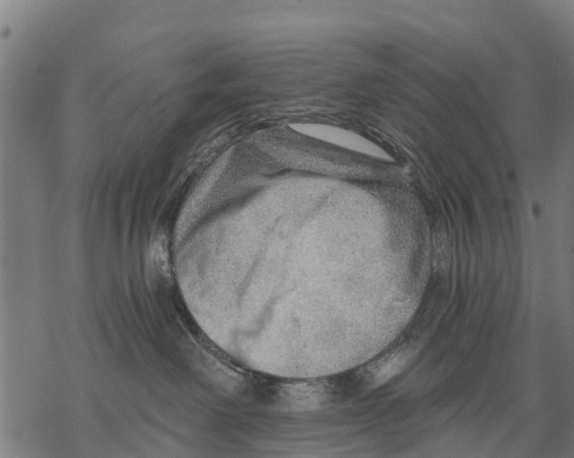 X0000068830238200605261623