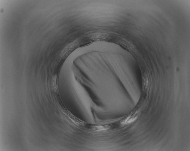 X0000068830239200605261623