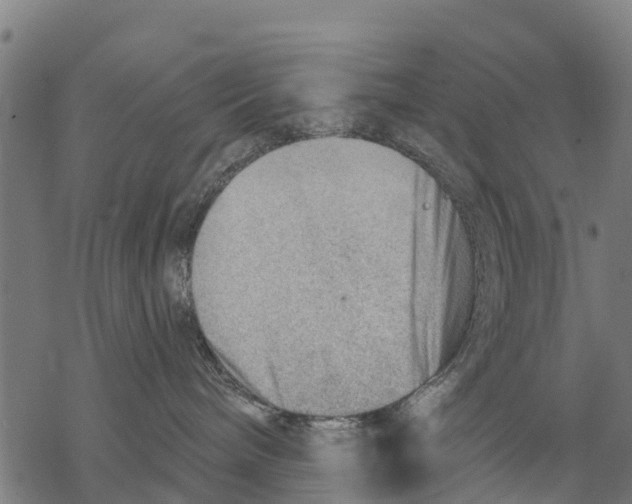 X0000068830240200605261623