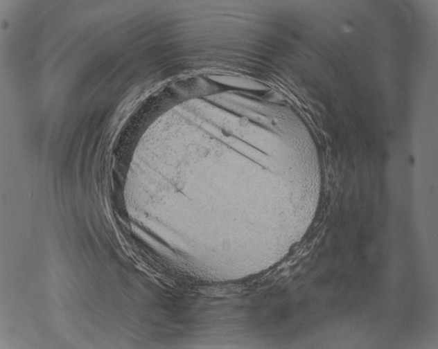 X0000068830241200605261622