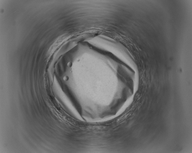 X0000068830242200605261622