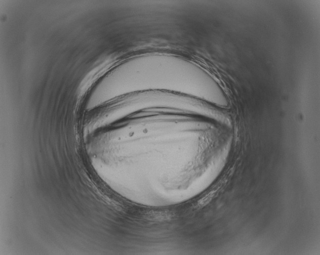 X0000068830245200605261622