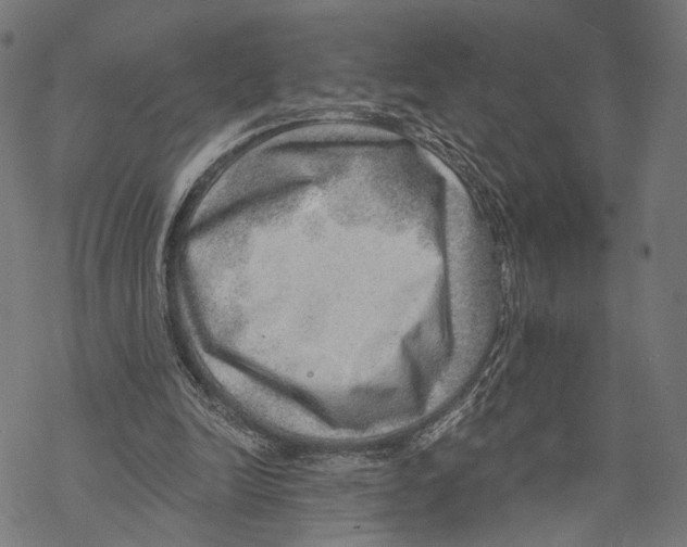 X0000068830246200605261622