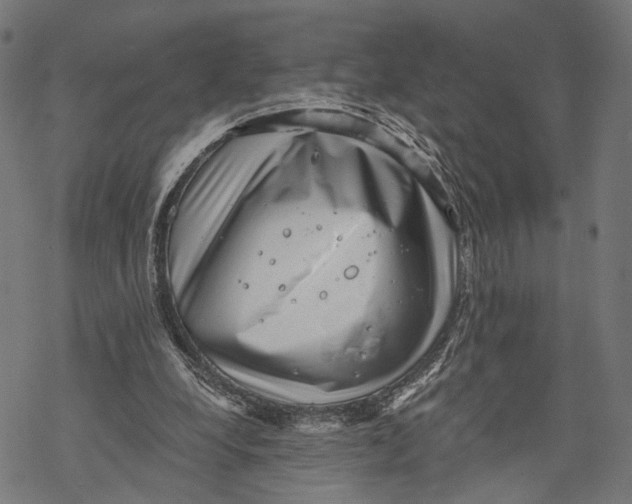 X0000068830248200605261623