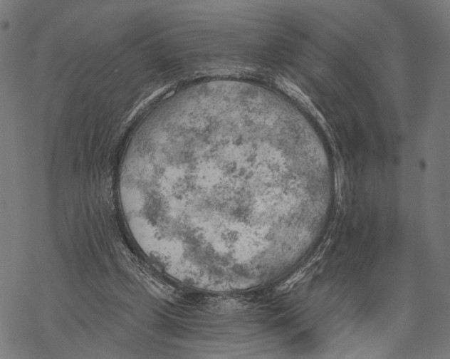 X0000068830249200605261623