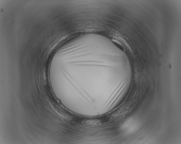 X0000068830251200605261623