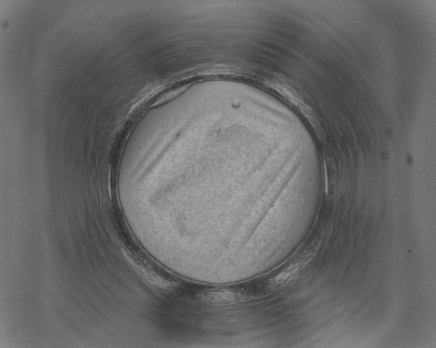 X0000068830253200605261623