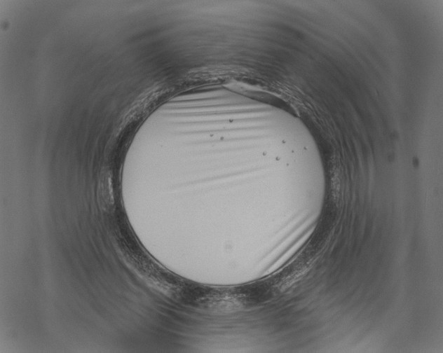 X0000068830254200605261623