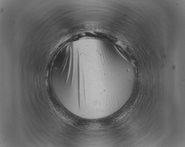 X0000068830256200605261623