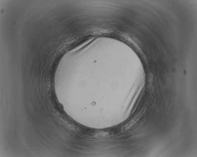 X0000068830257200605261623