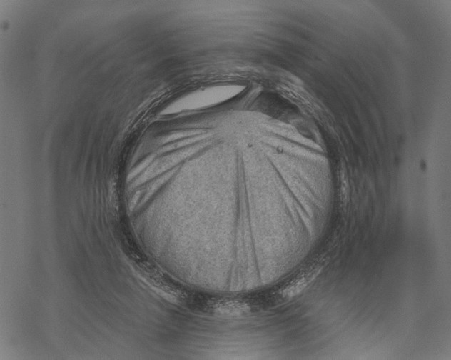 X0000068830258200605261623