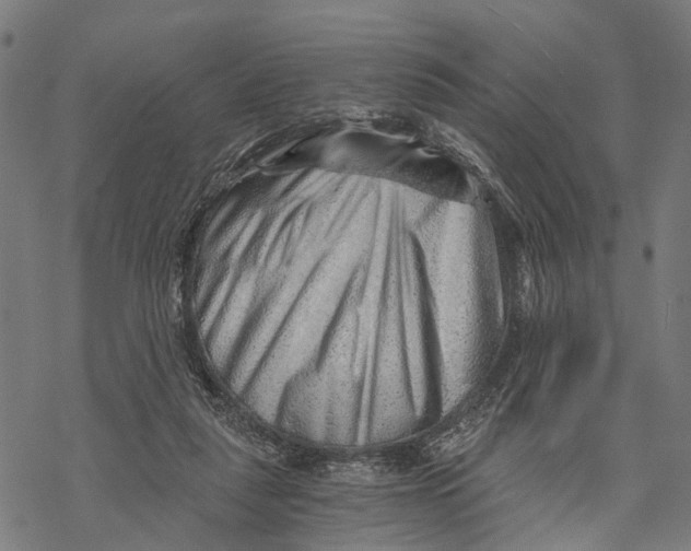 X0000068830259200605261623