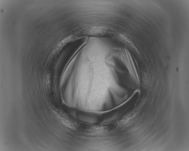 X0000068830260200605261623