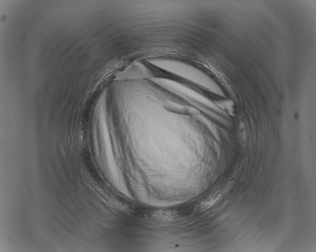 X0000068830261200605261623