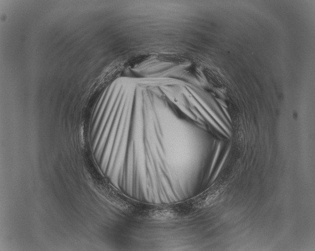 X0000068830262200605261623