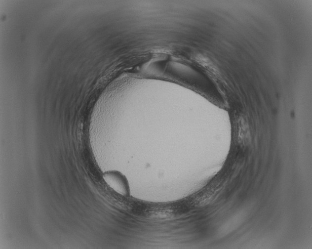 X0000068830263200605261623