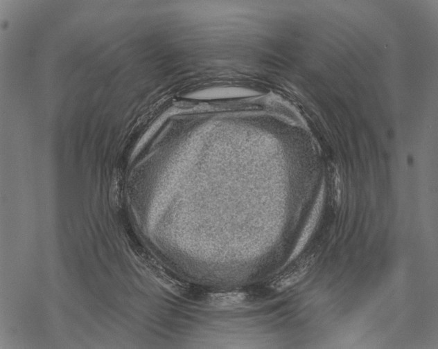 X0000068830266200605261623