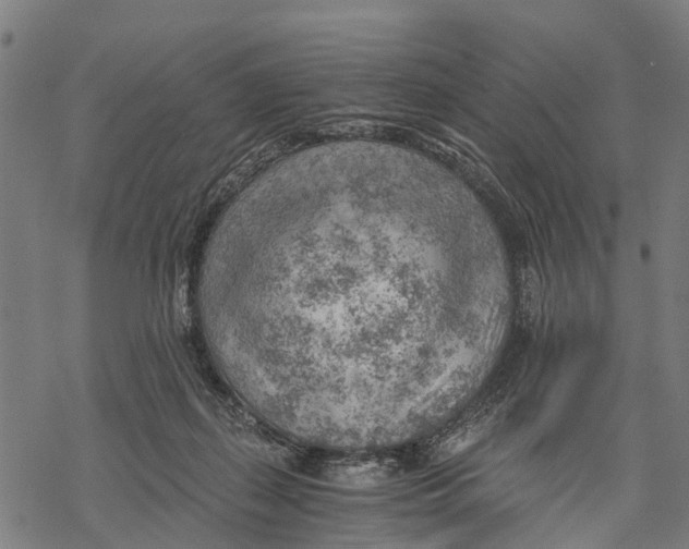 X0000068830267200605261623