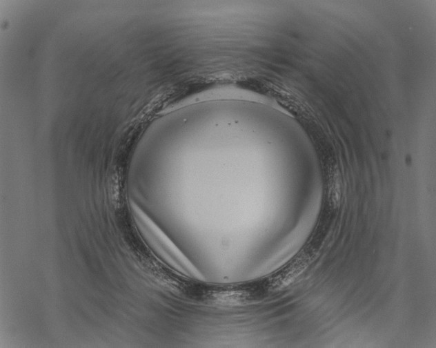 X0000068830268200605261623