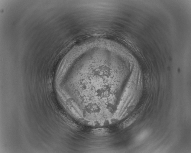 X0000068830269200605261623