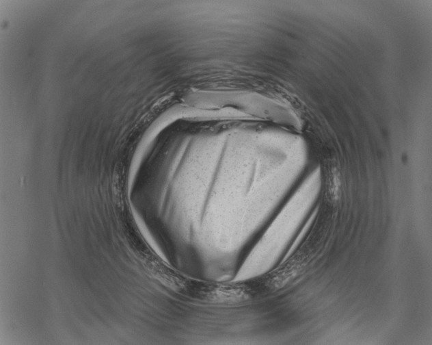 X0000068830270200605261623