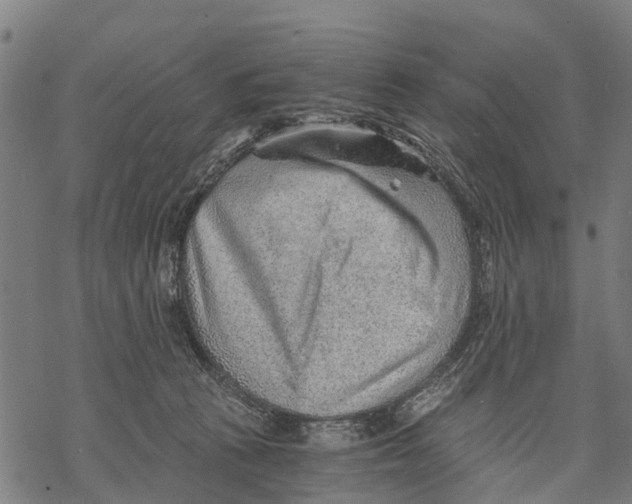 X0000068830273200605261623