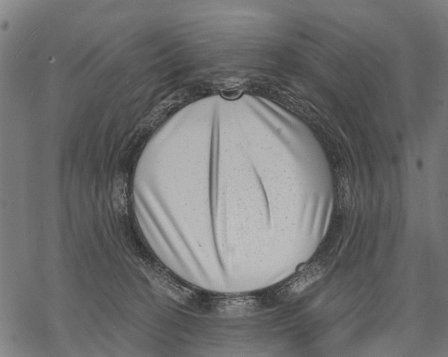 X0000068830274200605261623