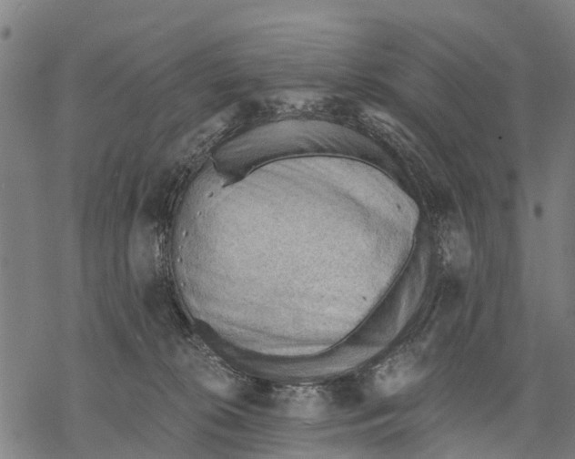 X0000068830276200605261623