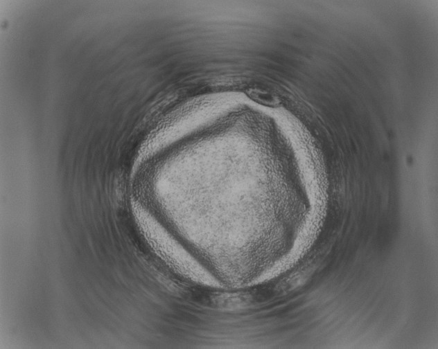 X0000068830277200605261623