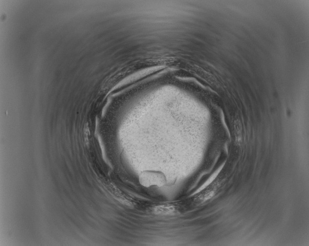 X0000068830279200605261623