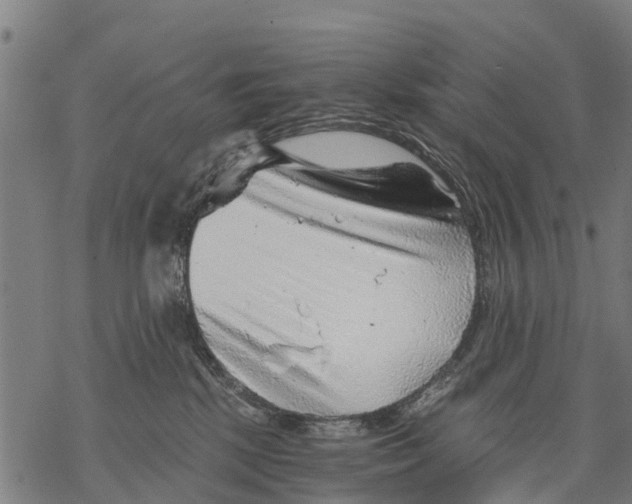 X0000068830281200605261623