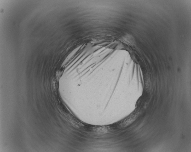 X0000068830282200605261623