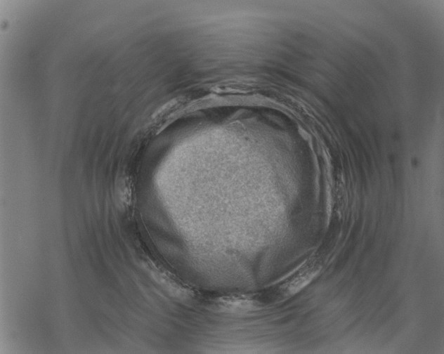 X0000068830284200605261623