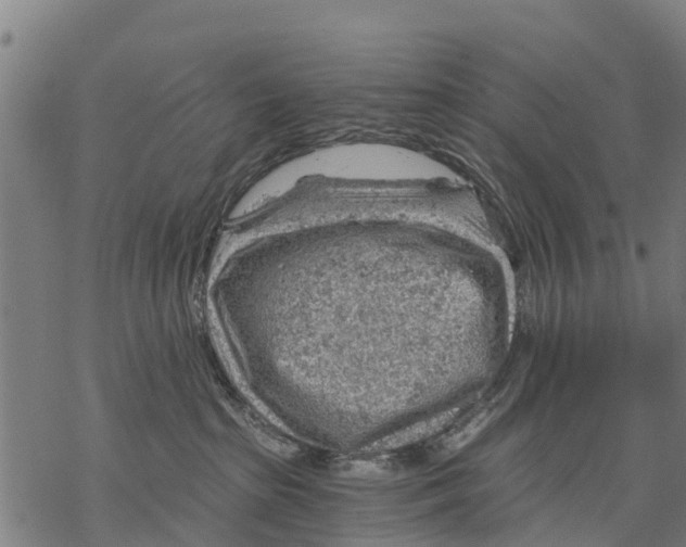 X0000068830285200605261623